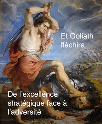 David contre Goliath - Manuel de stratégie de résolution de conflit